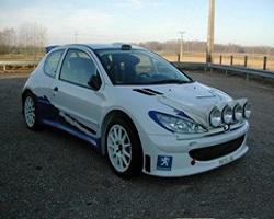 Peugeot 206 Heated Windscreen