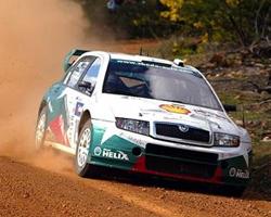 Skoda Fabia Green Heated Windscreen