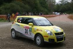 Suzuki Swift Heated Windscreen